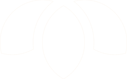 Vector Logo